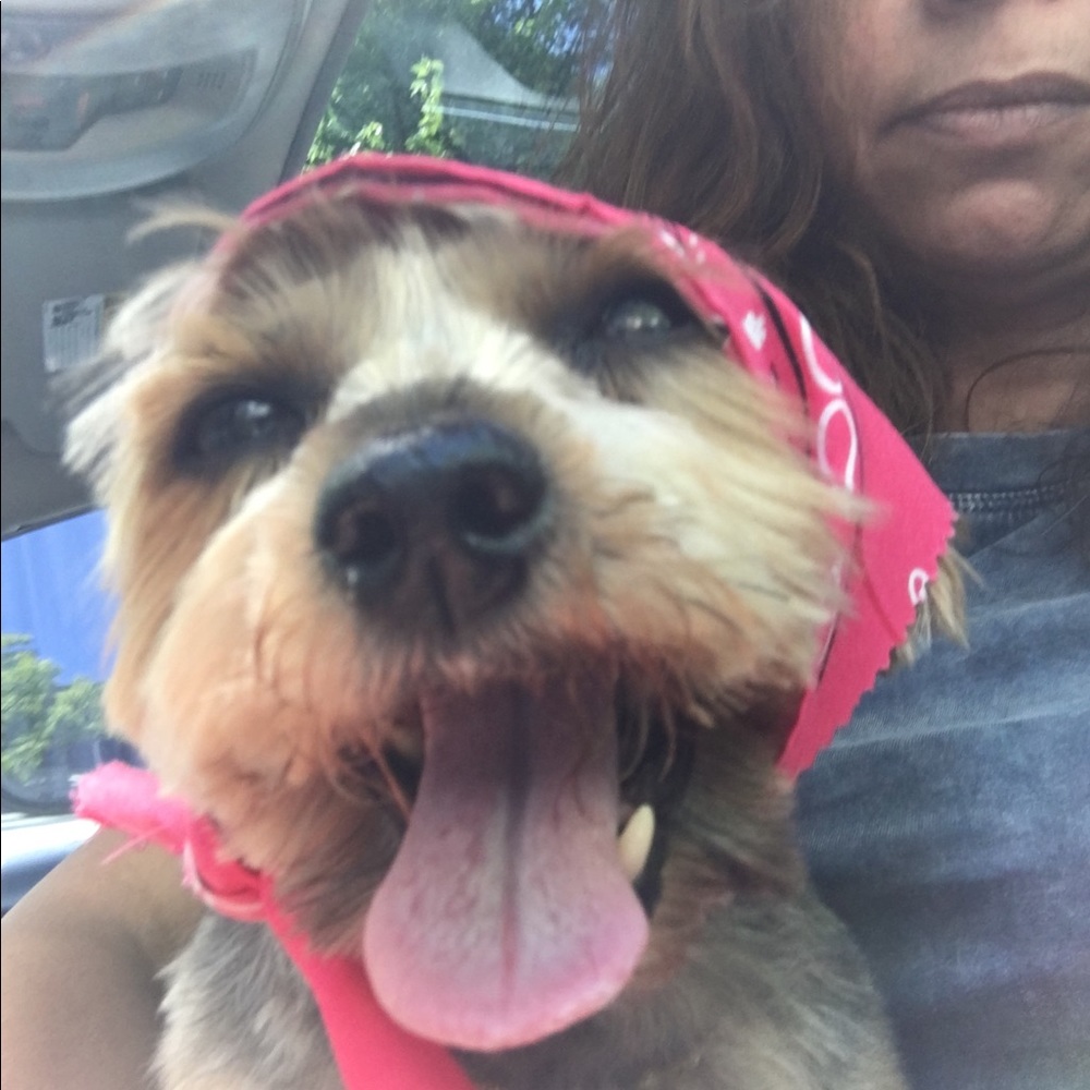 Meet your Posher, Barbara